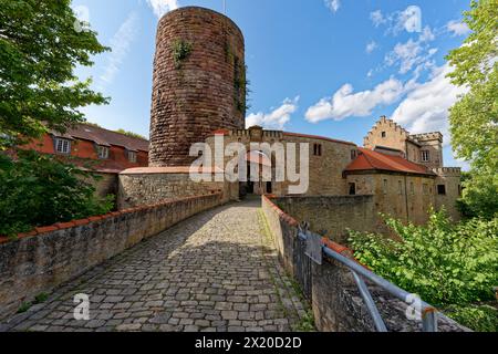 Schloss Saaleck bei der Weinstadt Hammelburg, Landkreis Bad Kissingen, Unterfranken, Franken, Bayern, Deutschland Stockfoto