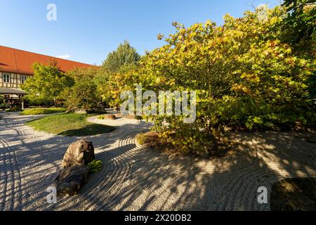 Der Japanische Garten im Schlosspark Moritzburg in Zeitz, Burgenlandkreis, Sachsen-Anhalt Stockfoto