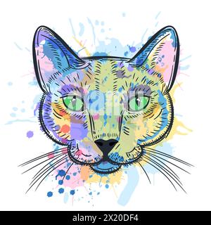 Katzenporträt Aquarell farbenfrohe Zeichnung. Vektorskizze Illustration des niedlichen Kätzenkopfes isoliert auf weißem Hintergrund. Modebewusstes Design oder Poster Stock Vektor
