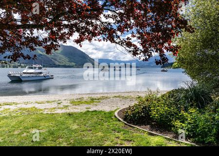 Blick auf den Lake Wanaka von Wanaka und von Aussichtsbereichen. Stockfoto