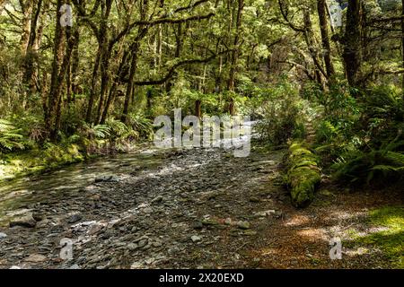 Blick auf die Berge und den Fluss von einer Wanderung auf dem Weg zum Milford Sound Stockfoto