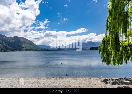 Blick auf den Lake Wanaka von Wanaka und von Aussichtsbereichen. Stockfoto