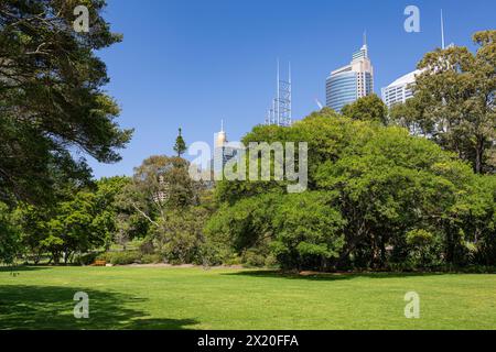 Wunderschöne farbige Blumen in den Sydney Botanical Gardens Stockfoto