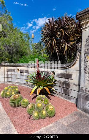 Wunderschöne farbige Blumen in den Sydney Botanical Gardens Stockfoto