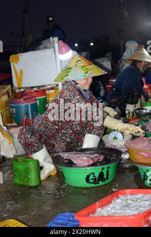 Fischmarkt am frühen Morgen in Bàn Thạch, Hoi an, Vietnam. Stockfoto