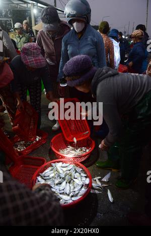 Fischmarkt am frühen Morgen in Bàn Thạch, Hoi an, Vietnam. Stockfoto