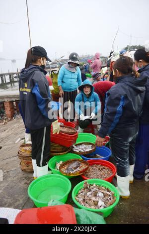 Fischmarkt am frühen Morgen in Bàn Thạch, Hoi an, Vietnam. Stockfoto