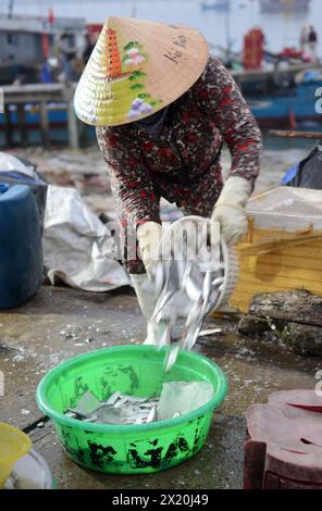 Fischmarkt am frühen Morgen in Bàn Thạch, Hoi an, Vietnam. Stockfoto