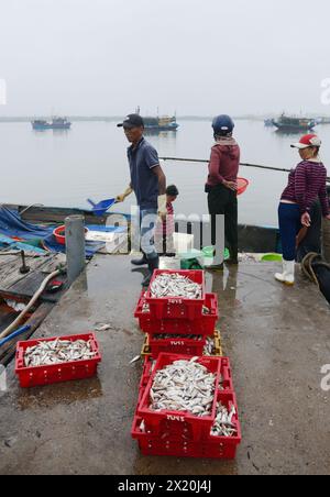 Fischmarkt am frühen Morgen in Bàn Thạch, Hoi an, Vietnam. Stockfoto