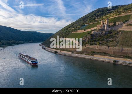 Aus der Vogelperspektive des Flussschiffes Rhein Symphonie (nicko-Kreuzfahrten) auf dem Rhein mit Schloss Ehrenfels und Weinbergen auf dem Hügel Rüdesheim am Rhein Stockfoto