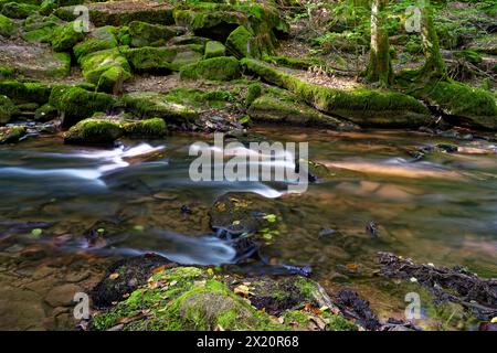 Der Verlauf der Thulba im Kerngebiet des Biosphärenreservats Rhön zwischen Oberthulba und Thulba, Kreis Bad Kissingen, Unterfranken, Stockfoto