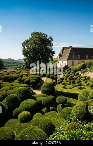 Buchsbaumgarten, Les Jardins de Marqueyssac, Vezac, Dordogne, Périgord, Département Dordogne, Region Nouvelle-Aquitaine, Frankreich Stockfoto