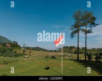 Die indonesische Flagge winkt stolz vor dem Hintergrund von Feldern, Reisfeldern und üppigen Bäumen und symbolisiert Nationalstolz und natürliche Schönheit. Stockfoto