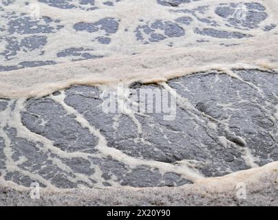 16. April 2024, Brandenburg, Münchehofe: Bei der biologischen Reinigung entstehen in einem Filterbecken der Kläranlage Münchehofe der Berliner Wasserbetriebe viel Schaum und Bläschen. Die Kläranlage Münchehofe befindet sich im brandenburgischen Stadtteil Märkisch-Oderland, nahe der Grenze zu Berlin. Auch das Abwasser der Firma Tesla wird hier im Auftrag des Wasserverbandes Strausberg-Erkner (WSE) behandelt. Foto: Patrick Pleul/dpa Stockfoto