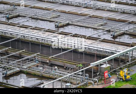 16. April 2024, Brandenburg, Münchehofe: Blick von einem Turm auf die Filterbecken der Kläranlage Münchehofe der Berliner Wasserbetriebe. Die Kläranlage Münchehofe befindet sich im brandenburgischen Stadtteil Märkisch-Oderland nahe der Landesgrenze zu Berlin. Auch das Abwasser der Firma Tesla wird hier im Auftrag des Wasserverbandes Strausberg-Erkner (WSE) behandelt. Foto: Patrick Pleul/dpa Stockfoto