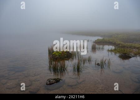 Misty Lake, Kap Stockfoto