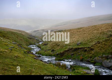 Ein Bach, der durch ein Tal in Wales fließt Stockfoto