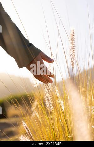 Eine birassische Wanderer, die sanft hohes Gras berührt, mit Sonnenlicht, das durch den Kopierraum filtert Stockfoto