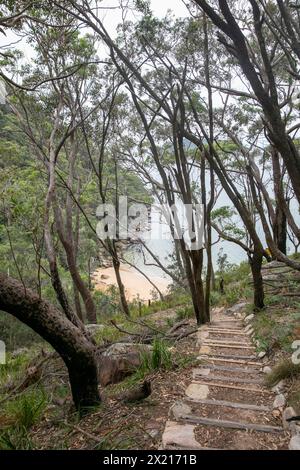 Resolute Beach im Ku-Ring-gai Chase Nationalpark, hat viele Schritte vom Weg entfernt, um den abgelegenen Strand, Sydney, NSW, Australien zu erreichen Stockfoto