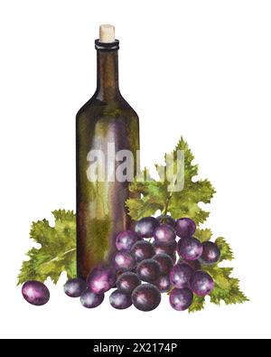 Aquarellillustration einer Vintage-Glasflasche Wein und Trauben auf weißem Hintergrund, handgezeichnete Illustration. Stockfoto