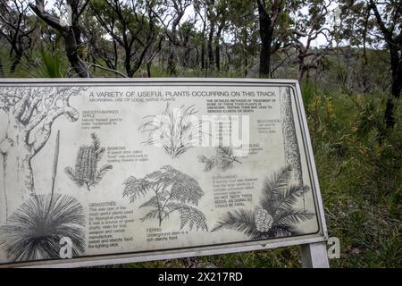 Resolute Beach Loop Trail und Schild mit Informationen darüber, wie die Ureinwohner einheimische Pflanzen im Alltag verwendeten, Ku-Ring-gai-Chase Nationalpark Stockfoto