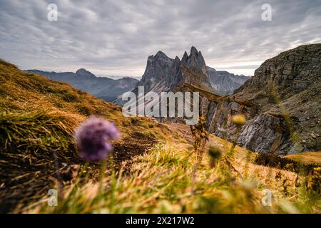 Geissler Group und Seceda im Herbst, Gröden, Bozen, Südtirol, Italien Stockfoto