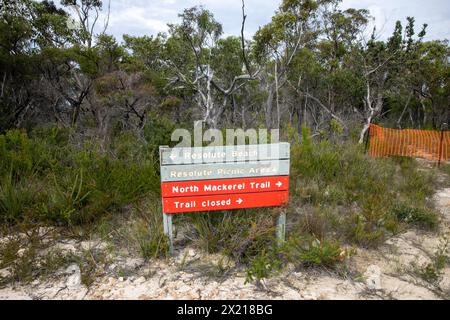 Resolute Loop Trail im Ku-Ring-gai Chase Nationalpark, North Mackerel Trail geschlossen, Wegbeschreibung zum Resolute Beach, Sydney, NSW, Australien Stockfoto