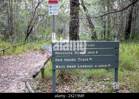 Ku-Ring-gai Chase Nationalpark in der Nähe von Sydney, der resolute Loop Trail Walk am West Head, Buschwanderweg durch den Park, Sydney, NSW, Australien Stockfoto