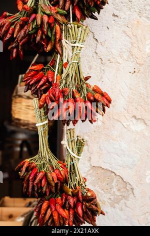 Chilli, typisch für die Region Apulien in Süditalien, weit verbreitet in der mediterranen Küche. Gesunde Ernährung, Lebensmittel, typische Produkte Stockfoto