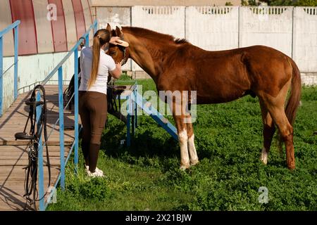 Frau putzt am Eingang der Scheune ein Pferd. Eine Reiterin bereitet das Pferd auf ein Training vor. Das Leben auf dem Pferdesport. Stockfoto