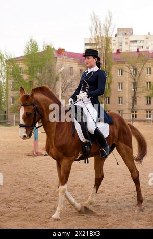 Trainierter Reiter in formeller Kleidung während des Outdoor-Trainings. Fahrsitzung. Dressur. Weiblicher Jockey im Uniform-Reitpferd. Reitschule Stockfoto