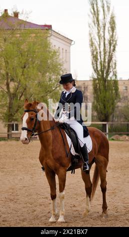 Eleganter Reiter im Gruß auf Kastanienpferd vor urbaner Kulisse. Dressur. Weiblicher Jockey im Uniform-Reitpferd. Pferdesport. Reiten Stockfoto