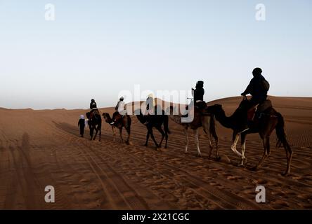 Die entsättigte Karawane von Kamelen und Reitern, geführt von einem lokalen Kamelreiter, durchquert die Merzouga-Wüste bei Sonnenaufgang und wirft schwache Schatten. Stockfoto