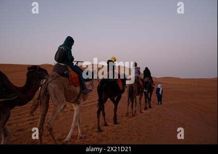 Kamelkarawane am frühen Morgen in der Wüste merzouga, geführt von einem ortskundigen Reiseleiter unter einem nebeligen Himmel, fünf Dromedarkamele und Reiter in Winterkleidung. Stockfoto