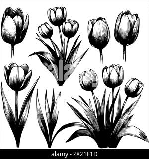 Ein Satz von schwarz-weißen Blumen mit Stielen. Die Blumen haben alle verschiedene Größen und sind in einer Reihe angeordnet Stock Vektor