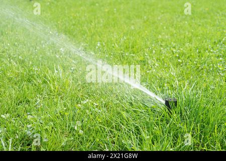 Automatischer intelligenter Rasenregner, der an sonnigen Tagen grünes Rasengras bewässert. Sprinkler mit automatischer Anlage mit verstellbarem Kopf, Gartenbewässerungsanlage Stockfoto