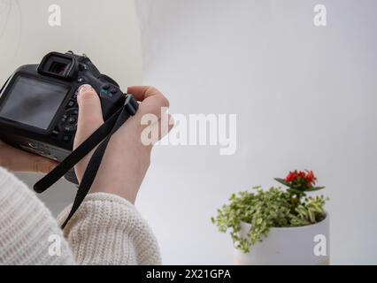 Fotograf, der eine Topfpflanze in Innenräumen umrahmt Stockfoto
