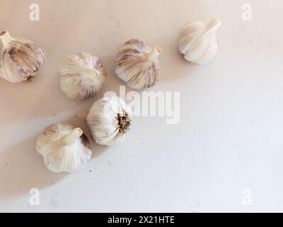 Selbst angebaute Knoblauchzwiebeln auf einer Marmoroberfläche Stockfoto