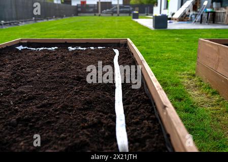 Aussaat von Samen auf einem Gürtel in einem Holzkasten, der von innen mit Agrotextil ausgekleidet und mit Boden und Torf gefüllt ist. Stockfoto