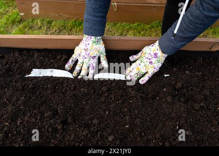 Säen von Samen auf einem Gürtel in einer Holzkiste, die von innen mit Agrotextil ausgekleidet und mit Erde und Torf gefüllt ist, die Hände der Frauen sind sichtbar. Stockfoto