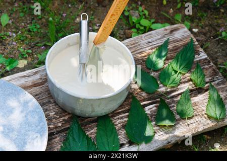 Herstellung von veganen Kartoffelchips auf Pflanzenbasis mit Brennnesselblättern, Schritt 3: Brennnesselblätter werden in den Teig getaucht, Serienbild 3/5 Stockfoto