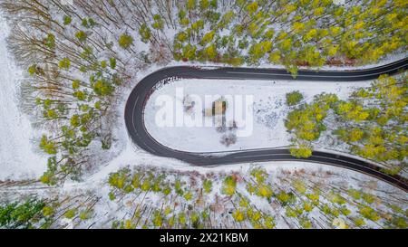 Straßenkurve im Wald, Luftaufnahme, Deutschland, Niedersachsen, Hitzacker (Elbe) Stockfoto