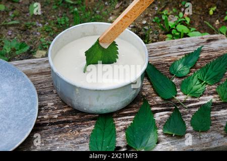 Herstellung von veganen Kartoffelchips auf Pflanzenbasis mit Brennnesselblättern, Schritt 3: Brennnesselblätter werden in den Teig getaucht, Serienbild 3/5 Stockfoto