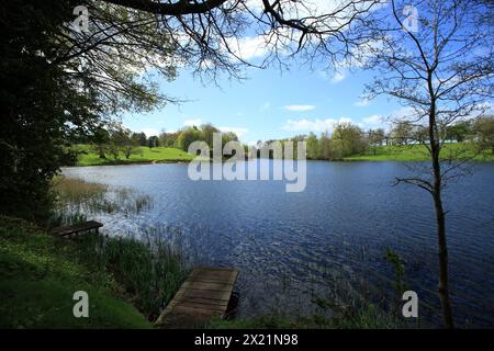 Dudmaston Big Pool auf dem Landgut Dudmaston, Bridgnorth, Shropshire, Großbritannien. Stockfoto