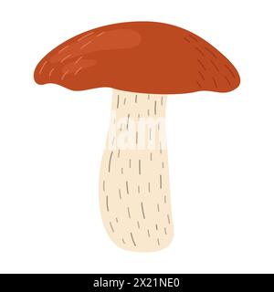 Orangefarbener Birkenpilz. Leccinum-Pilze. Essbare Waldpilze. Vegetarische Pilze brauner Kappenboletus. Botanische flache Vektorillustration isoliert auf weißem Hintergrund. Stock Vektor