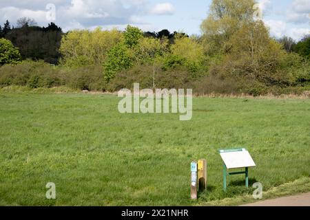 Leam Valley Local Nature Reserve, Newbold Comyn, Leamington Spa, Warwickshire, England, UK Stockfoto