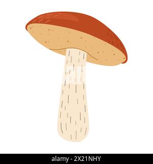 Orangefarbener Birkenpilz. Leccinum-Pilze. Essbare Waldpilze. Vegetarische Pilze brauner Kappenboletus. Botanische flache Vektorillustration isoliert auf weißem Hintergrund. Stock Vektor