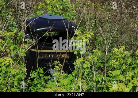 Gosport, Hampshire, England. 1. April 2024. Ein Abfalleimer des gemeinderats in einem ausgeschlossenen Gebiet mit Wildgras und Laub, das auf allen Seiten wächst. Stockfoto