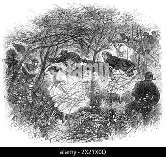 Tagung der British Association in Birmingham:..."Pursuit of Science in Dasein", 1865. "...die Party, nachdem sie einen Blick auf die Brown Clee Hügel auf der linken Seite erhalten hat - die größten Höhen des Landes, 1806 Fuß. Und 1600 Fuß Oberhalb des Meeresspiegels - und Church Stretton auf der rechten Seite, dann wieder in den Wald eingetaucht, wo underwood und verworrene Äste den Fortschritt extrem schwierig machten. Hier stellte sich die Frage, ob es möglich wäre, dass die Damen weitermachen, aber nach ihrer Konsultation lehnten sie die Idee ab, zurückgelassen zu werden, und kämpften am erfolgreichsten mit Stockfoto