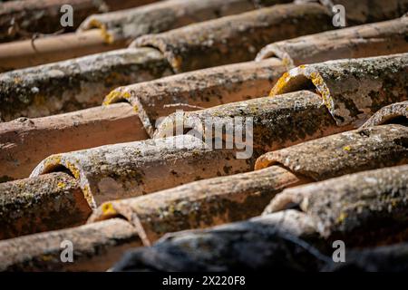 Altes Ziegeldach, Detail, Toskana, Italien Stockfoto